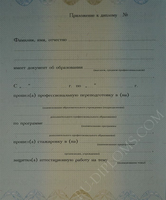 Диплом о переподготовке 2010 года 